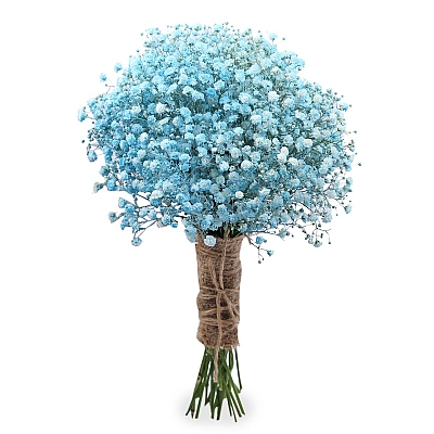 Gelin Çiçeği Mavi  Gipso