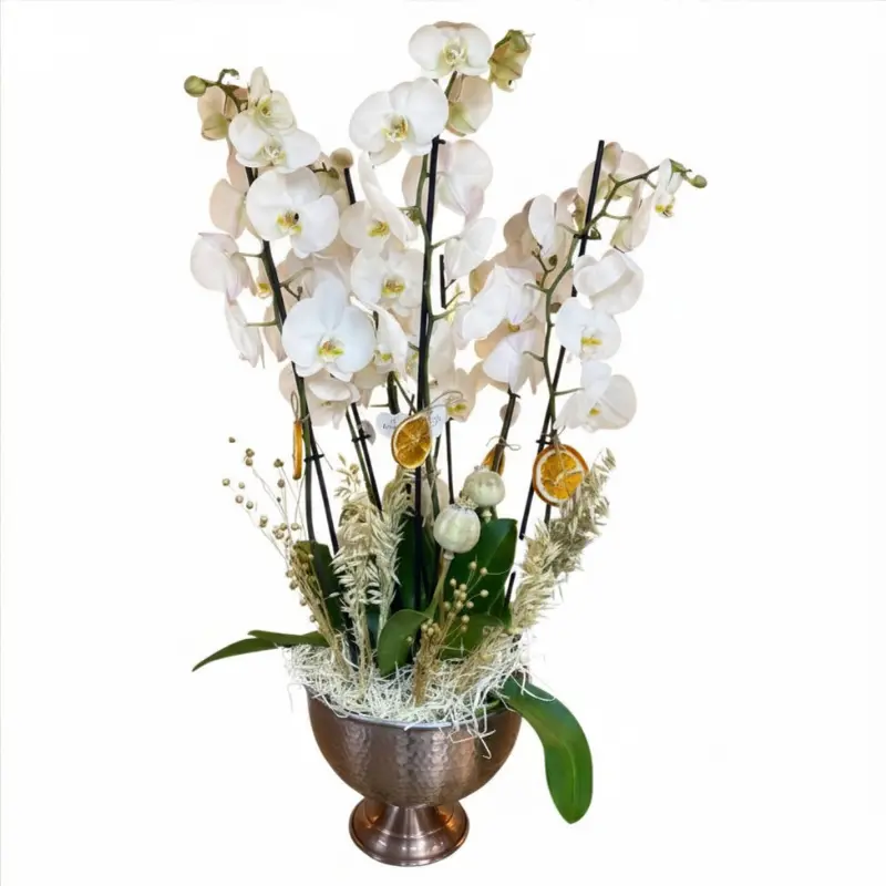 Bakır Saksıda 8 Dal Beyaz Orkide Aranjmanı