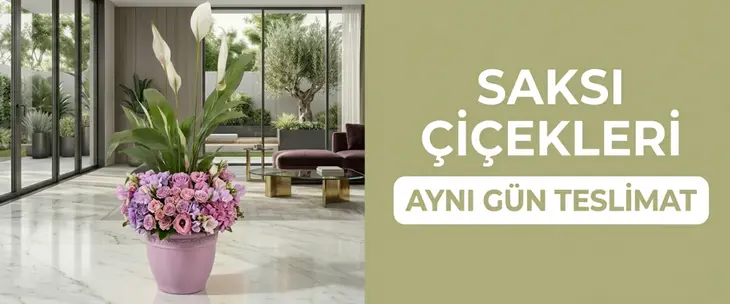 Çiçek Gönder