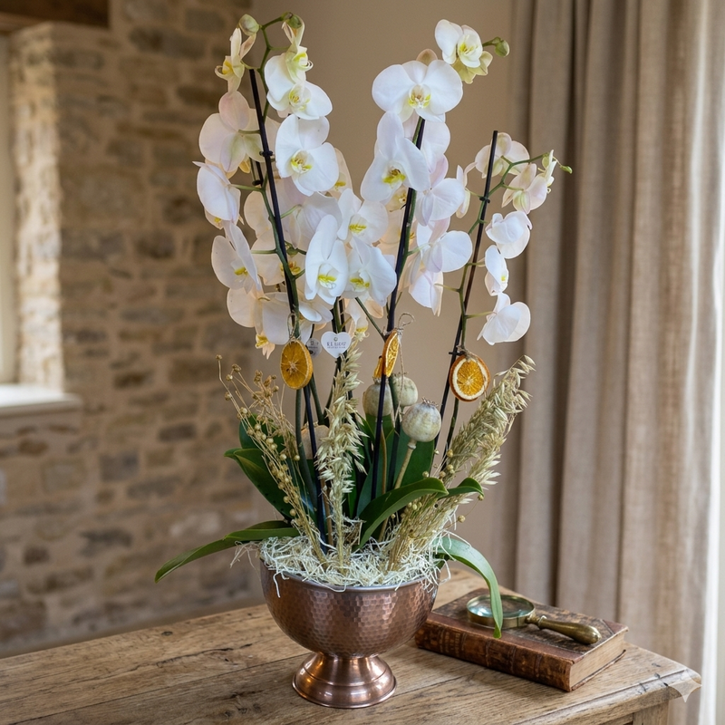 Orkide Test Orkide Test Orkide Test Orkide Test Orkide Test