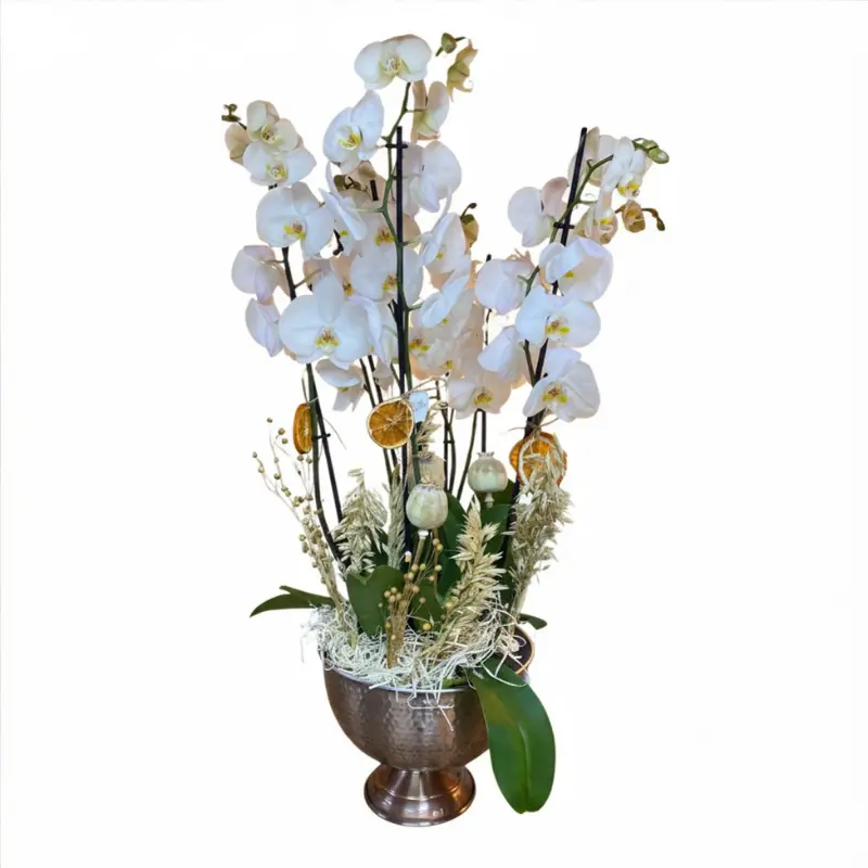 Bakır Saksıda 8 Dal Beyaz Orkide Aranjmanı