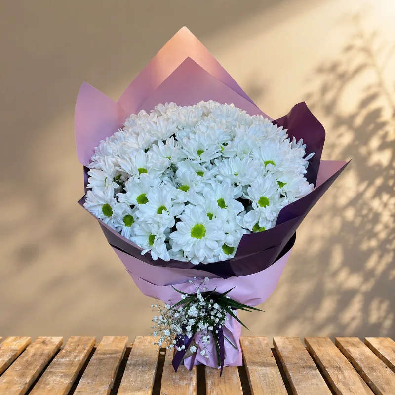 Dev Boy Beyaz Papatya Buketi