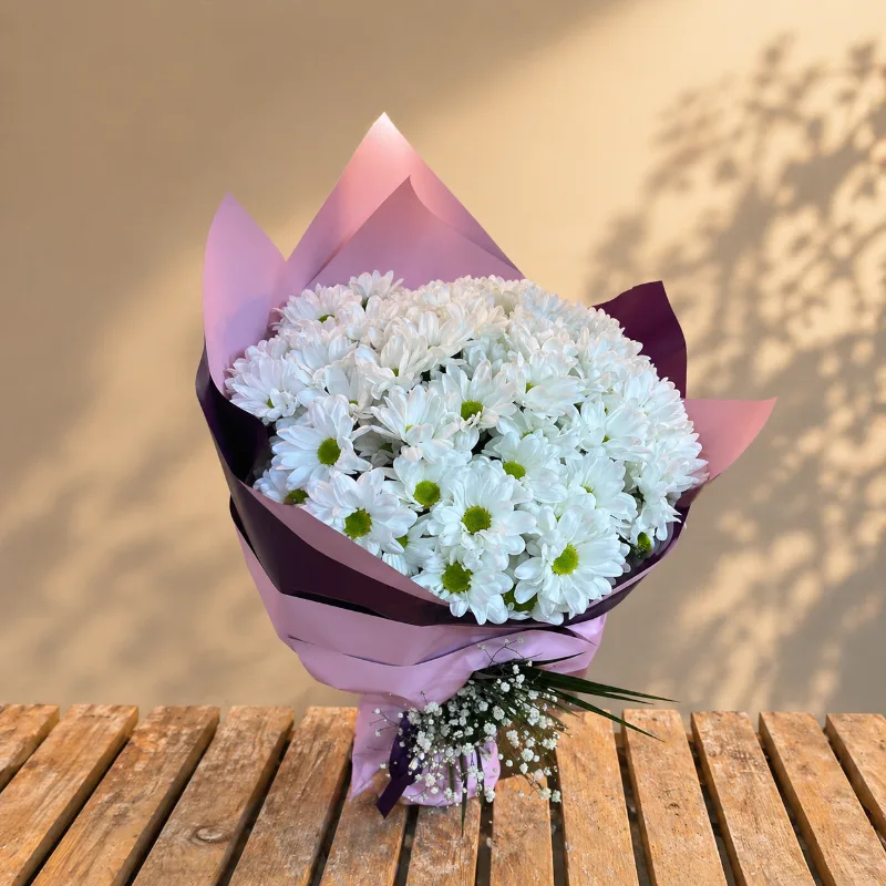 Dev Boy Beyaz Papatya Buketi