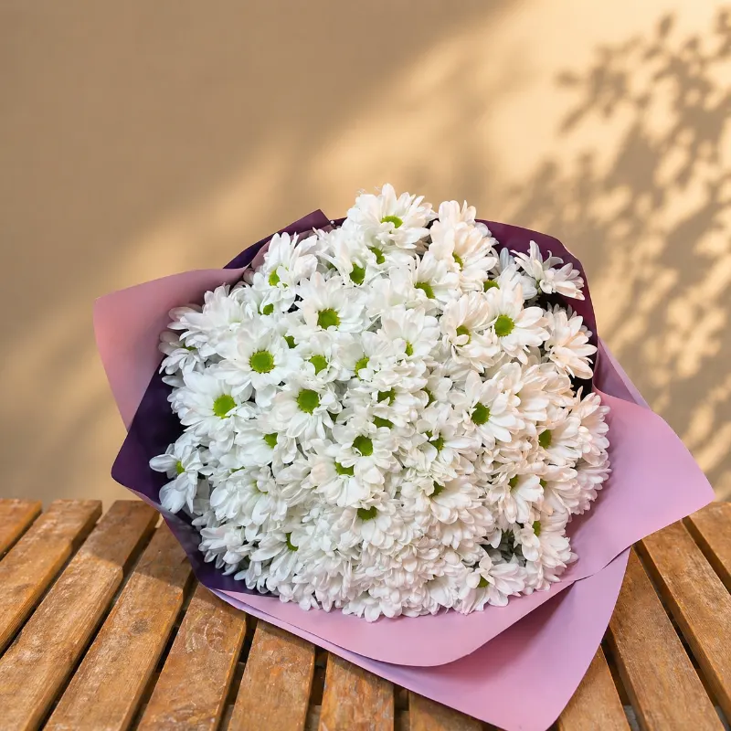 Dev Boy Beyaz Papatya Buketi